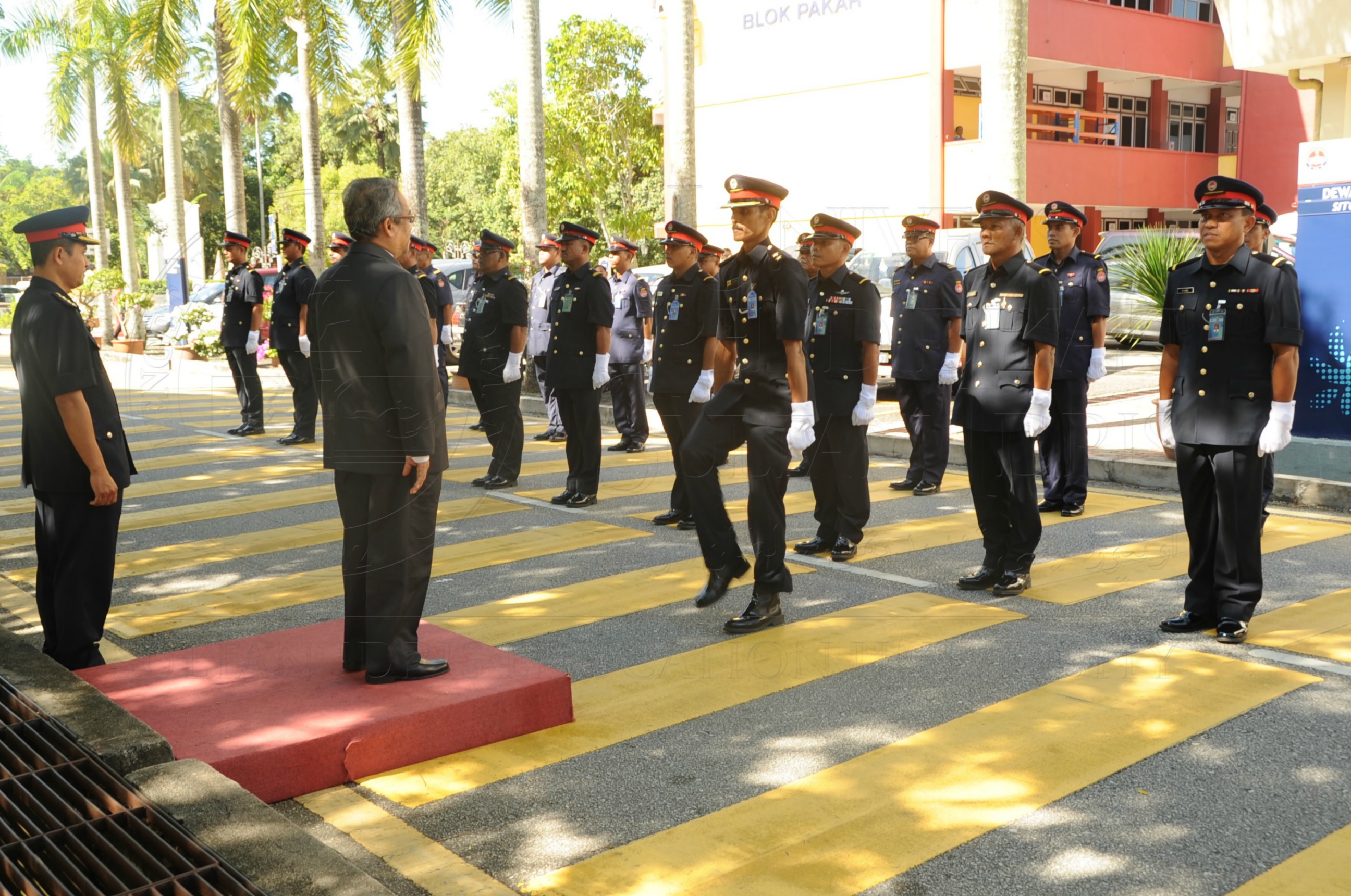 PRO 16 6 AMANAT VCHAS 8567